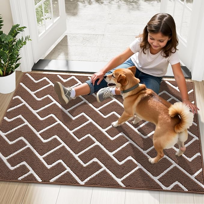 OLANLY Front Door Mat, Non-Slip Rubber Backing, Dirt Resistant and Absorbent, Washable, Easy to Clean Low-Profile Indoor Doormat for Back Door, Entryway, Inside Entrance, 32x20, Coffee