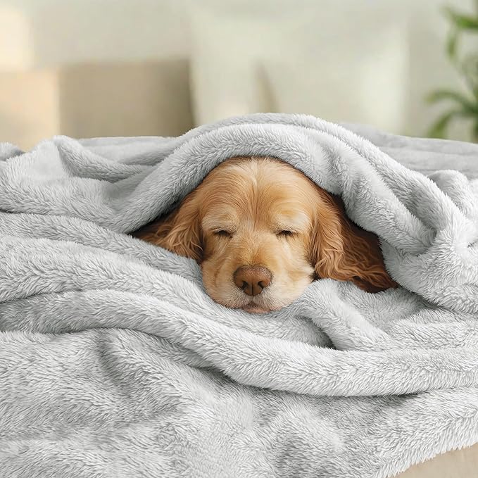 Exclusivo Mezcla Plush Fuzzy Fleece Bed Blanket Twin Size, Super Soft, Fluffy and Warm Blankets for Couch, Bed, All Season (Light Grey, 90x66 Inches)