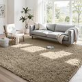 4x6 Area Rugs for Living Room Rug: Soft Fluffy Shag Gray Camel Rugs for Bedroom, Non-Slip Large Fuzzy Plush Rug Indoor Floor Carpet for Nursery Kids Boys Girls Room, Dorms, Playroom, Modern Home Decor
