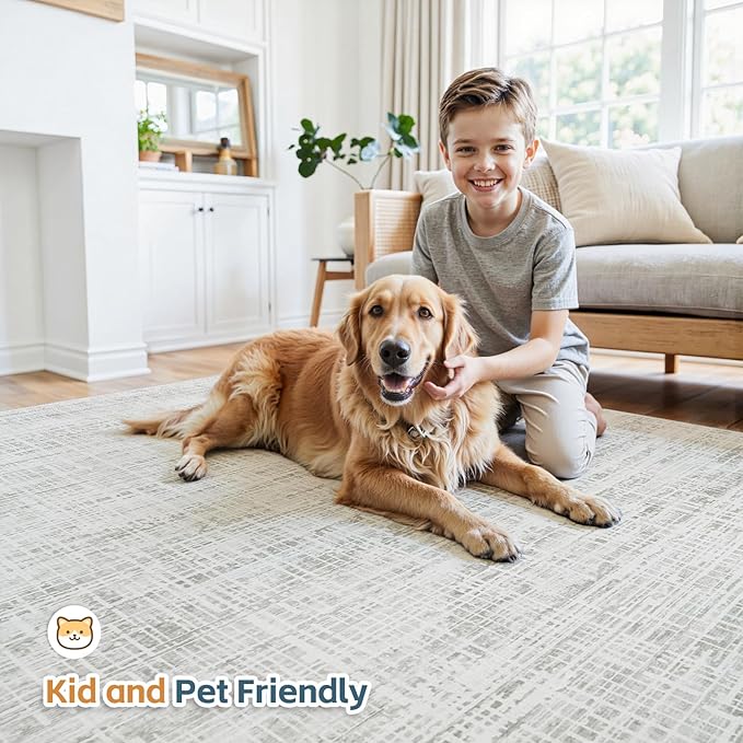 5x7 Area Rugs Washable Rug: Anti-Skid Abstract Modern Living Room Rug Soft Thin Carpets Indoor Floor Non-Shedding Carpet for Bedroom Dining Farmhouse Nursery Home Office (White Gray, 5'x7')