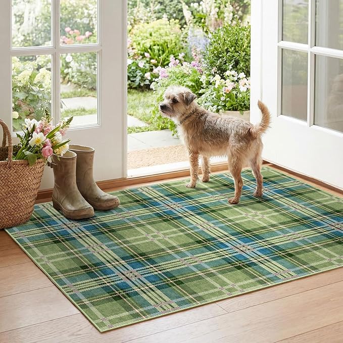 Buffalo Outdoor Rug - 28" x 43" Front Door Mat Indoor Outside Entrance Non-Slip Washable Outdoor Mat Green Teal Plaid Tartan Rug for Entryway Kitchen Bedroom Layered Doormat for Front Porch