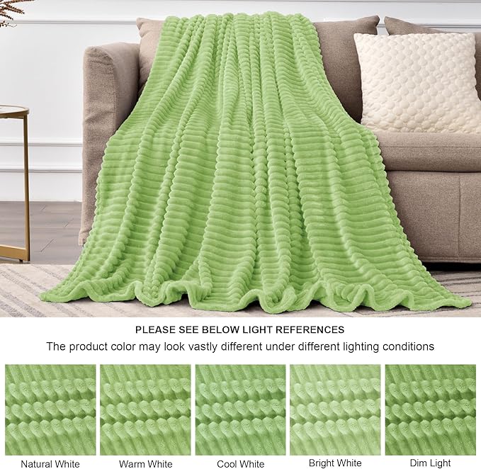 BEDELITE Fleece Blanket Queen Size – 3D Ribbed Jacquard Soft and Warm Decorative Fuzzy Blankets – Cozy, Fluffy, Plush Lightweight Throw Blankets for Couch, Bed, Sofa(Sage Green, 90x90 inches)