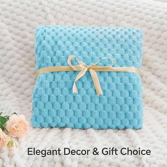 BEDELITE Fleece Blanket Twin Size for Bed Couch, 3D Jacquard Decorative Light Blue Throw Blanket, Soft and Cozy Warm Plush Fuzzy Blanket All Seasons Suitable, 60x80Inches