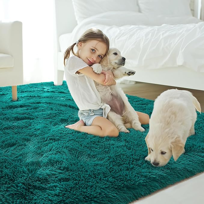 Amearea Blue and Green Shag Area Rug 4' x 5' - Luxury Soft Plush Fuzzy Carpet for Living Room, Indoor Fluffy Teal Green Large Rugs for Bedroom Nursery Non Slip Shaggy Carpets Home Decor