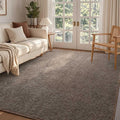 FinRèc 4x6 Washable Area Rugs for Bedroom Living Room, Low Pile Thin Rug Solid Color, Non-Slip Carpet Indoor for Home Decor (Brown)