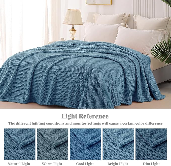 Whale Flotilla Twin Size Fuzzy Fleece Blanket, Fluffy Warm Soft Jacquard Bed Blankets for All Season, Lightweight and Cozy, 60x80 Inch, Slate Blue