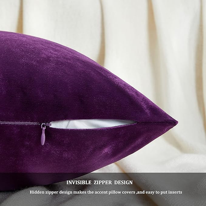 GIGIZAZA Decor Throw Couch Pillow Covers,Set of 2 Sofa Cushion Purple Pillow Covers,Velvet Pillow Cases 24 x 24inch