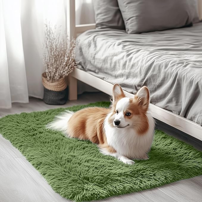 OLANLY 2x3 Machine Washable Small Bedside Rug, Soft Fluffy Shaggy Entryway Throw Rugs for Bedroom, Living Room, Indoor Floor Carpet for Kids Girls and Boys, Home Decor Aesthetic, Green