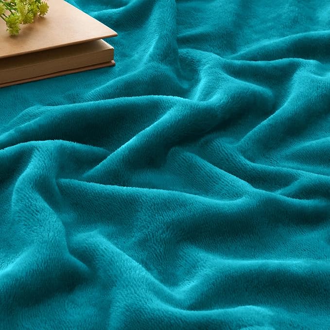 BEDELITE Fleece Blankets Queen Size Bluebird Throw Blankets for Bed, Luxury Plush Cozy Fuzzy Blanket 90x90 inches, Super Soft Warm Lightweight Throw Blanket All Seasons Suitable