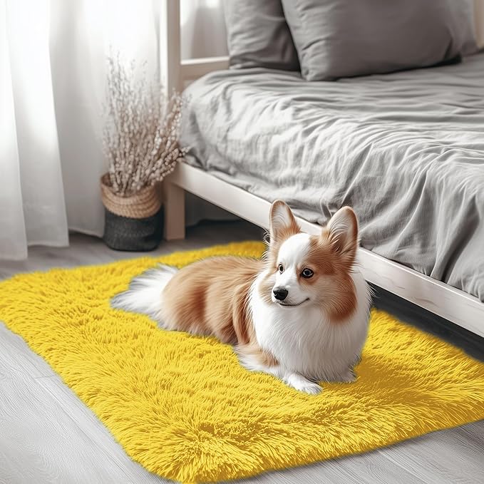 OLANLY 2x3 Machine Washable Small Bedside Rug, Soft Fluffy Shaggy Entryway Throw Rugs for Bedroom, Living Room, Indoor Floor Carpet for Kids Girls and Boys, Nursery Rooms, Home Decor Aesthetic, Yellow