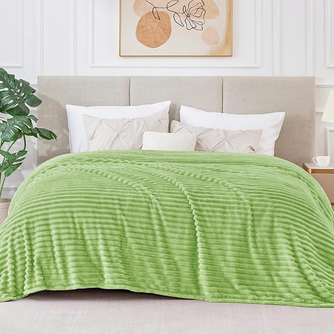 BEDELITE Fleece Blanket Queen Size – 3D Ribbed Jacquard Soft and Warm Decorative Fuzzy Blankets – Cozy, Fluffy, Plush Lightweight Throw Blankets for Couch, Bed, Sofa(Sage Green, 90x90 inches)