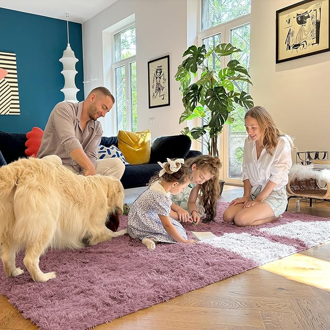 OLANLY 5x7 Machine Washable Large Area Rugs for Living Room, Bedroom, Soft Fluffy Shaggy Bedside Rug, Indoor Floor Carpet for Kids Girls and Boys, Dorms, Nursery, Home Decor Aesthetic, Blush