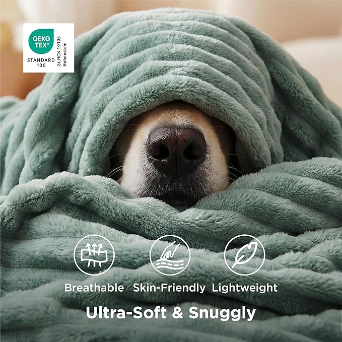 Bedsure GentleSoft Sage Green Throw Blanket for Couch - Cozy Soft Spring Blankets for Women, Cute Small Fleece Throws Spring Gifts for Women Teen Girls, Sage Green Decor Room Home, 50x60 Inches