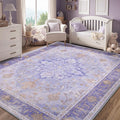 RELEANY Area Rugs 5'x7' Washable Non-Slip, Floral Vintage Distress Print Pattern Medallion Carpet for Living Room Bedroom Dining Room, Light Purple Brown