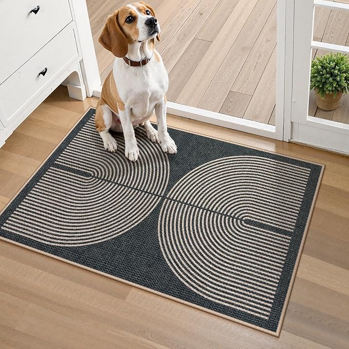 Lahome Enfys Rainbow Indoor Door Mat, 20"x32" Small Black Rugs for Entryway Kitchen Neutral Area Rug, Farmhouse Non Slip Non Shedding Lightweight Floor Carpet for Front Porch