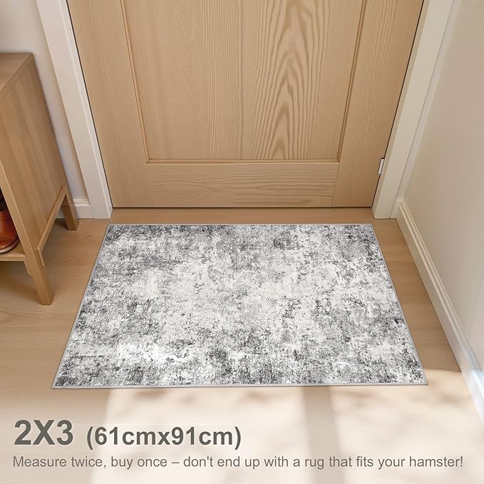 2x3 Entryway Area Rug: Washable Neutral Modern Abstract Small Rug - Non-Slip Low Pile Throw Indoor Carpet for Entrance Kitchen Front Door Mat Bathroom Entry Kids Room - Grey