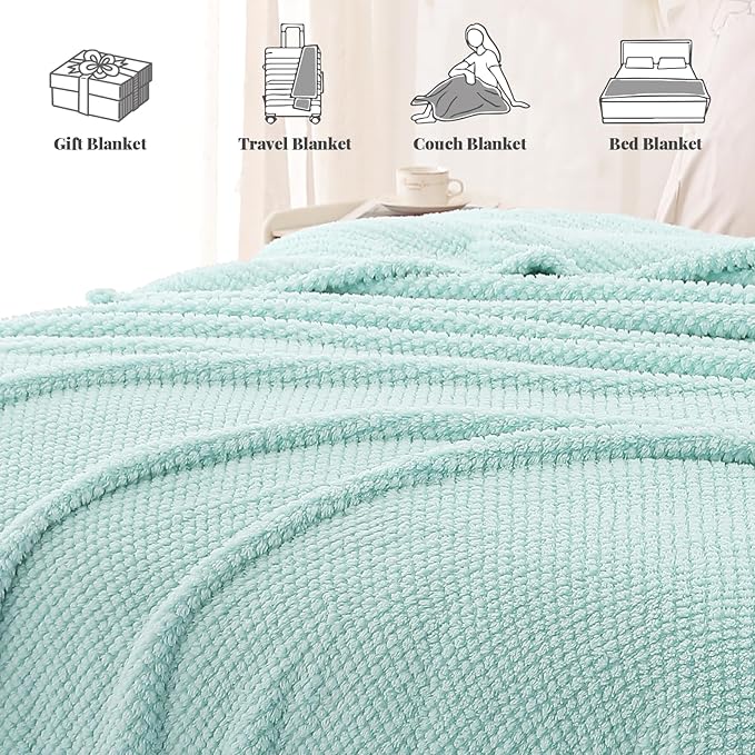 Whale Flotilla Queen Size Fuzzy Fleece Blanket for Bed, 90x90 Inch Fluffy Warm Soft Jacquard Blankets for All Season, Lightweight and Cozy, Light Blue