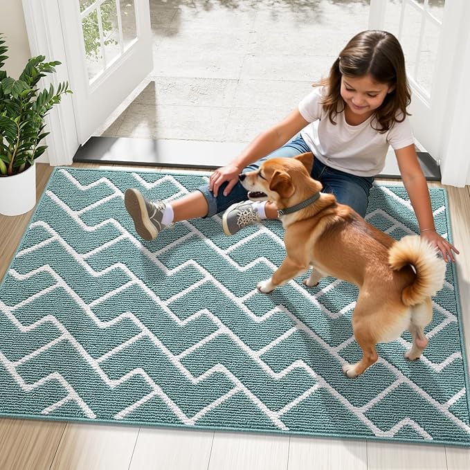 OLANLY Front Door Mat, Non-Slip Rubber Backing, Dirt Resistant and Absorbent, Washable, Easy to Clean Low-Profile Indoor Doormat for Back Door, Entryway, Inside Entrance, 48x32, Sage Green