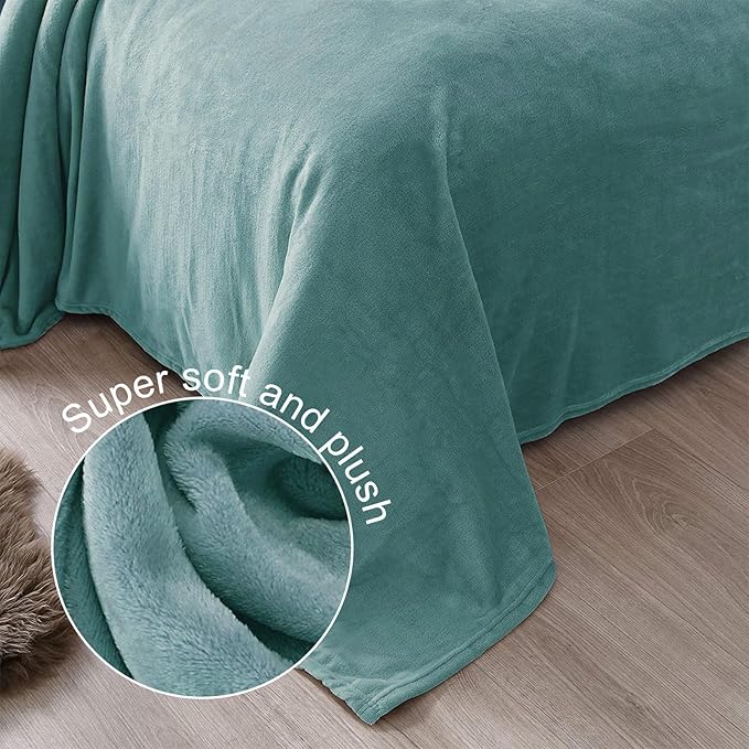 Exclusivo Mezcla Fleece Celadon Throw Blanket for Couch, Sofa, Super Soft and Warm Blankets, All Season, Cozy, Plush, Lightweight, 50x60 Inches