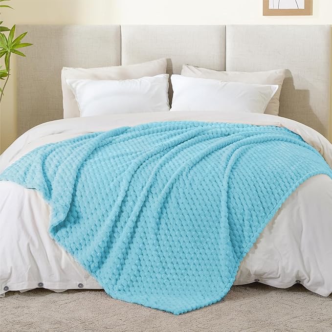 BEDELITE Fleece Blanket Twin Size for Bed Couch, 3D Jacquard Decorative Light Blue Throw Blanket, Soft and Cozy Warm Plush Fuzzy Blanket All Seasons Suitable, 60x80Inches