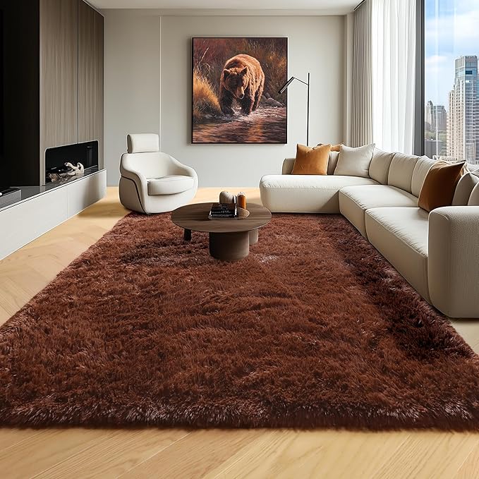 ONASAR Brown Rugs for Living Room Bedroom, 5x8 Fluffy Bedside Area Rug, Soft Plush Shaggy Indoor Floor Carpet for Nursery Kids Girls Boys Teen Dorm Home Office Decor Aesthetic
