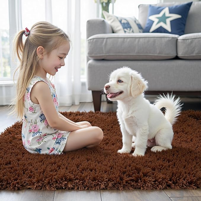 Rugs for Living Room 6x9, Alfombras para Salas Shag Large Plush Soft Area Rug, Shaggy Carpets for Bedroom, Kids Boys Girls Home Decor Aesthetic(Coffee, 6 x 9)