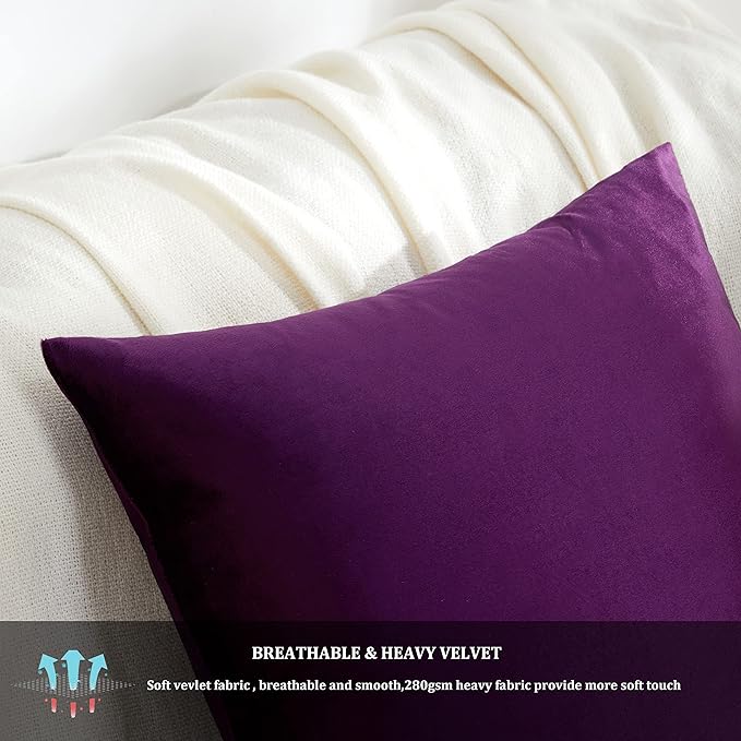 GIGIZAZA Decor Throw Couch Pillow Covers,Set of 2 Sofa Cushion Purple Pillow Covers,Velvet Pillow Cases 24 x 24inch