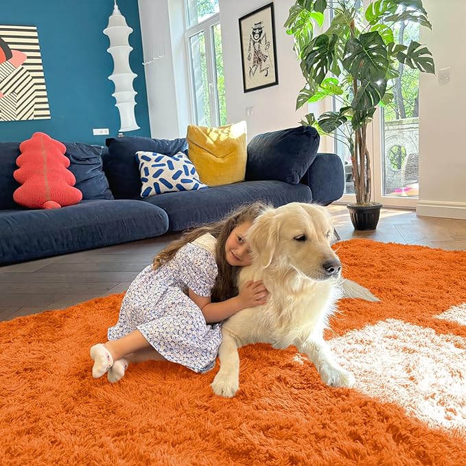 OLANLY 2x3 Machine Washable Small Bedside Rug, Soft Fluffy Shaggy Entryway Throw Rugs for Bedroom, Living Room, Indoor Floor Carpet for Kids Girls and Boys, Nursery Rooms, Home Decor Aesthetic, Orange