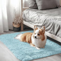 OLANLY 2x3 Machine Washable Small Bedside Rug, Soft Fluffy Shaggy Entryway Throw Rugs for Bedroom, Living Room, Indoor Floor Carpet for Kids Girls and Boys, Home Decor Aesthetic, Light Blue