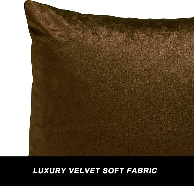 GIGIZAZA Decorative Throw Pillow Covers Set of 2,22 x 22 Chocolate Couch Pillow Covers,Velvet Square Cushion Covers