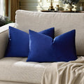 GIGIZAZA 12x20 Lumbar Small Pillow Covers, Blue Pack of 2 Velvet Throw Pillow Covers Decorative Vintage Living Room Super Soft Pillowcases Couch Sofa Cushion Covers