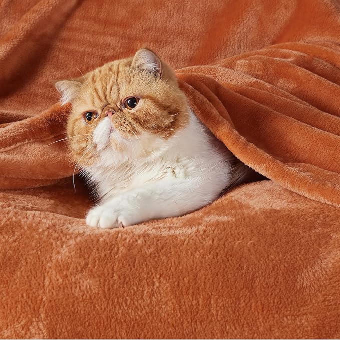 Bedsure Burnt Orange Throw Blankets Fleece Blanket Twin Blanket - 300GSM Soft Lightweight Plush Cozy Blankets for Bed, Sofa, Couch, Travel, Camping