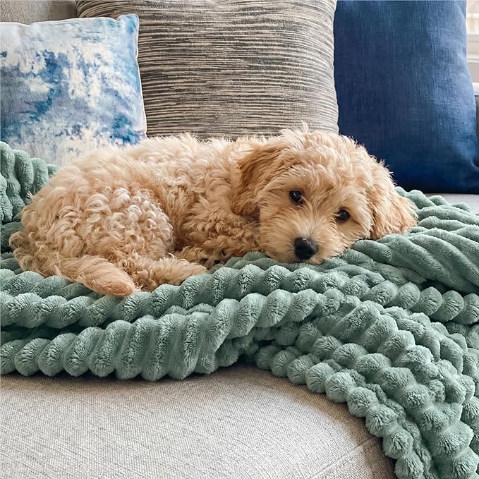 Bedsure GentleSoft Sage Green Throw Blanket for Couch - Cozy Soft Spring Blankets for Women, Cute Small Fleece Throws Spring Gifts for Women Teen Girls, Sage Green Decor Room Home, 50x60 Inches