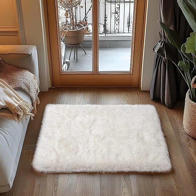 Small Area Rug, 2x3 Rug for Bedroom Shaggy Throw Rugs for Dorm Rug, Soft Shag Carpet for Kids Room, Plush Comfy Fluffy Bedside Rug for Home Decor Aesthetic, Cream White