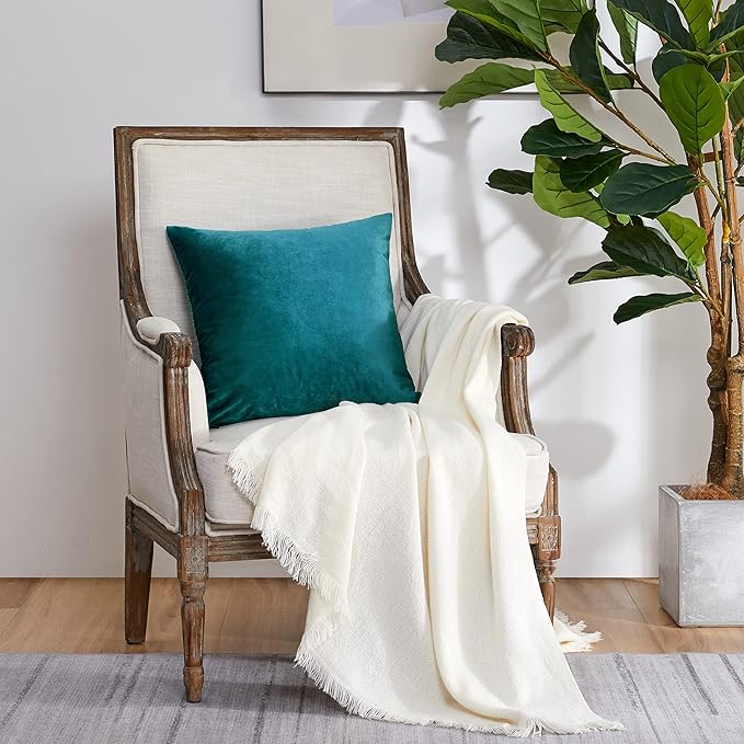 GIGIZAZA Décor Throw Couch Pillow Covers Set of 2,Sofa Cushion Teal Peacock Green Pillow Covers,Velvet Pillow Cases 24 x 24inch