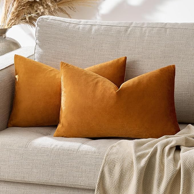 GIGIZAZA Cinnamon Orange Velvet Decorative Throw Pillow Covers for Sofa Bed 2 Pack Soft Cushion Cover