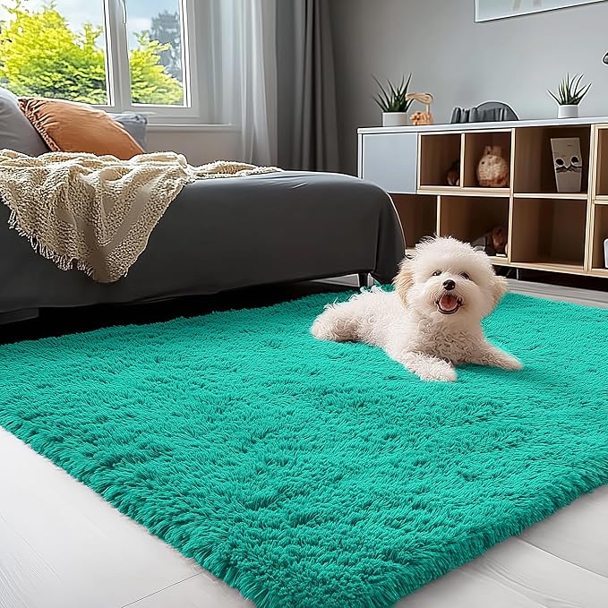 OLANLY 3x5 Machine Washable Small Bedside Rug, Soft Fluffy Shaggy Rugs for Living Room, Bedroom, Indoor Floor Carpet for Kids Girls and Boys, Preppy Dorms, Nursery, Home Decor Aesthetic, Teal Green