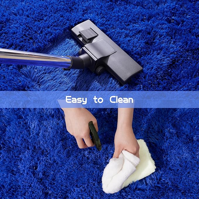Pionblank Fluffy Small Rug for Bedroom 2x3 Feet, Shag Soft Area Rug for Bedside, Modern Plush Cute Carpet for Kids Girls Boys Room Nursery Decor, Royal Blue
