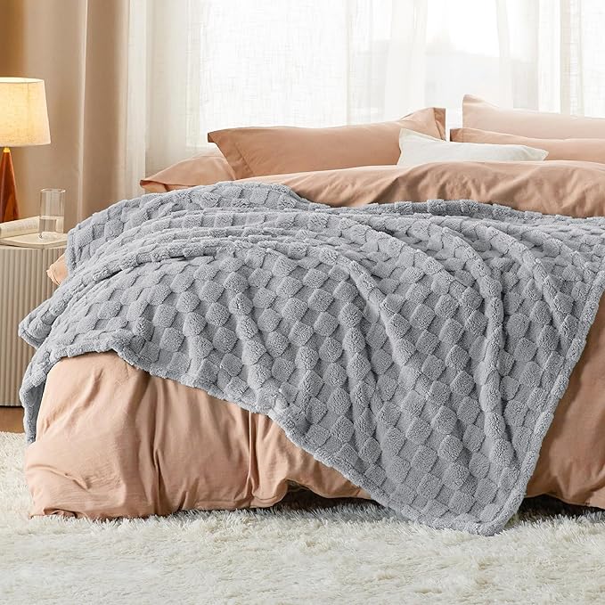 Bedsure GentleSoft Twin Blanket for Bed Silver Grey - Super Soft Cozy Blankets for Kids Girls, Cute Fuzzy Fleece Throws for Bedroom Couch, 60x80 Inches