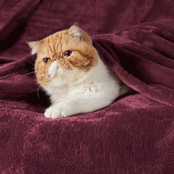 Bedsure GentleSoft Burgundy Red Fleece Blanket King Size - 280GSM Throw Blankets for Couch,Sofa,Bed, Soft Lightweight Plush Cozy Throws for Toddlers