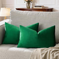 GIGIZAZA Decorative Small Lumbar Pillow Covers, Set of 2 Cushion Covers Velvet Forest Green Pillows,Sofa Throw 12 X 20 Pillow Covers