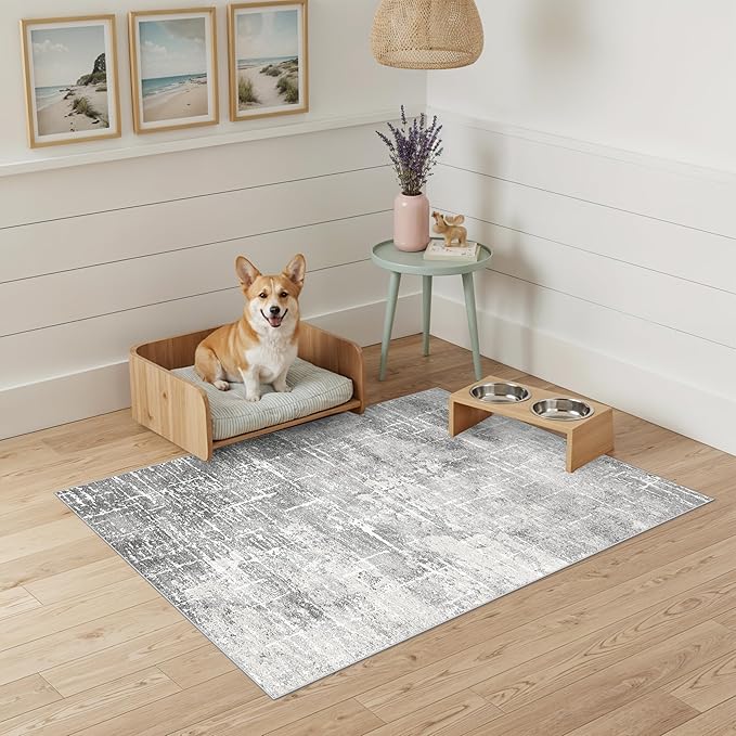 Abstract 2x3 Entryway Area Rugs: Washable Water Resistant Kitchen Rug Non-Slip Durable Doormat Ultra Soft Bedroom Beside Carpet Indoor Low Pile Floor Mat for Bathroom Stove Sink Area(2x3,Light/Grey)