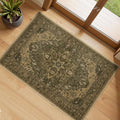 Area Rugs 2'x3' Kitchen Rugs Entry Rug Small Rugs for Entryway Kitchen Bathroom Door Mat Indoor Entrance,Washable Non Slip, Brown Dark Brown