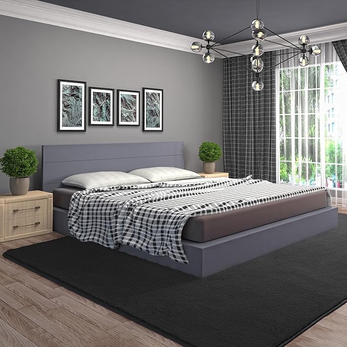 AROGAN Modern Shag Area Rug for Bedroom, 4x6 Feet Washable Rugs for Living Room, Indoor Floor Carpet, Plush Memory Foam Bedside Rugs for Kids Girls Teens Room Low Pile, Dark Grey