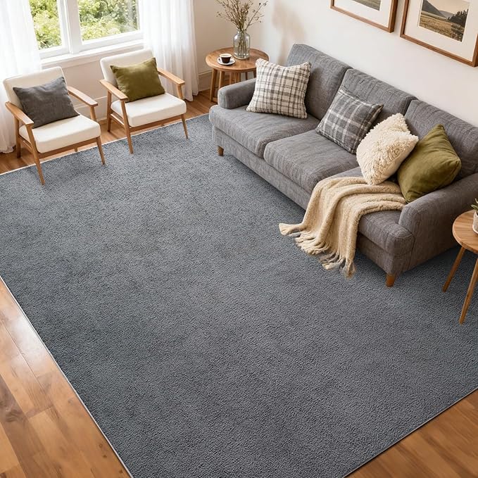 FinRèc 5x7 Washable Area Rugs for Bedroom Living Room, Low Pile Thin Rug Solid Color, Non-Slip Carpet Indoor for Home Decor (Pure Dark Grey)