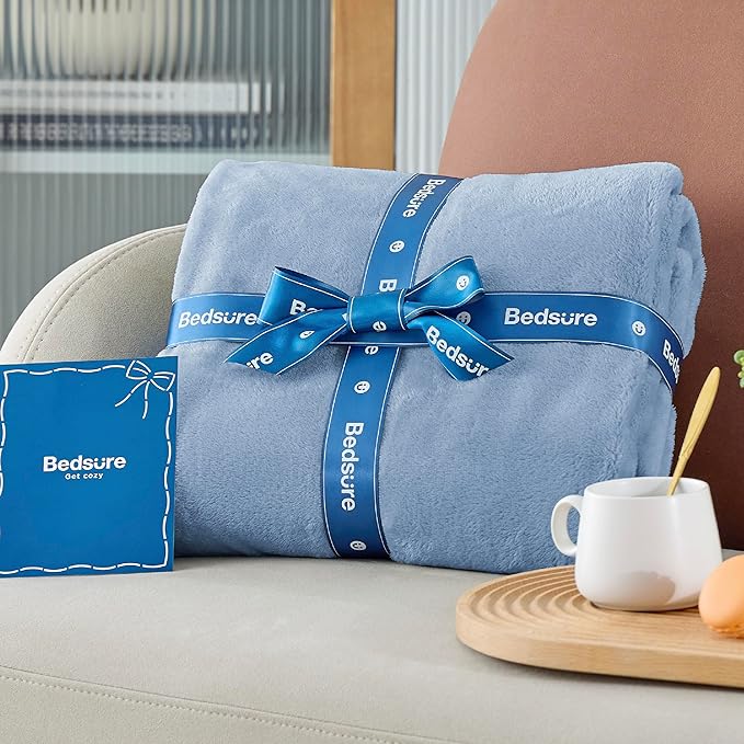Bedsure GentleSoft Fleece Bed Blankets Queen Size Light Blue - Soft Lightweight Plush Fuzzy Cozy Luxury Blanket Microfiber, 90x90 inches