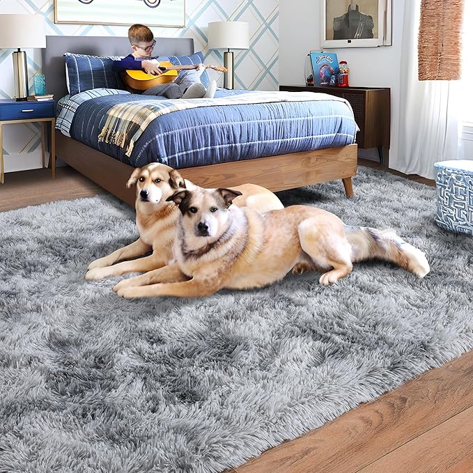 Rugs for Living Room 6x9, Soft Shaggy Modern Shag Area Rug for Bedroom, Upgrade Non-Slip Plush Fluffy Carpet for Kids Boys Girls Room Home Decor Aesthetic, Light Grey