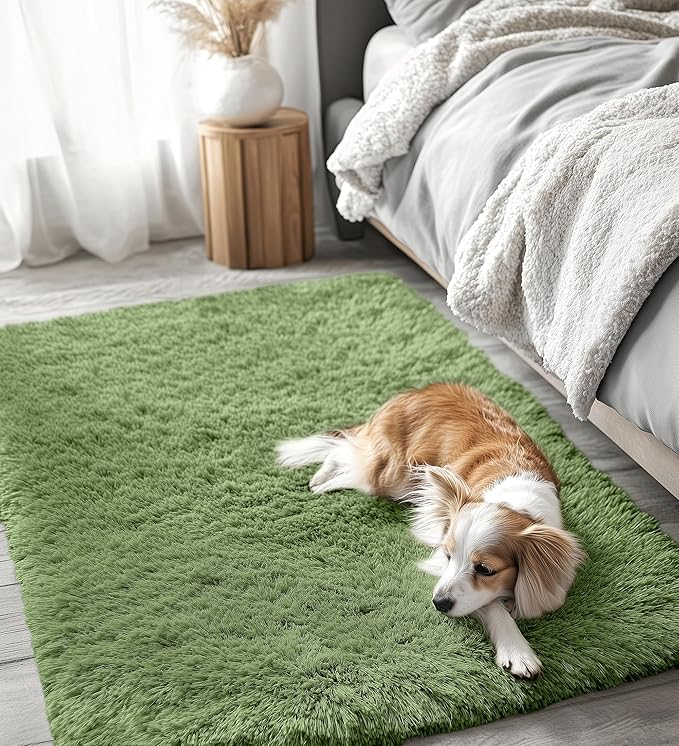 OLANLY 3x5 Machine Washable Small Bedside Rug, Soft Fluffy Shaggy Rugs for Living Room, Bedroom, Indoor Floor Carpet for Kids Girls and Boys, Preppy Dorms, Nursery, Home Decor Aesthetic, Green