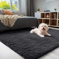 OLANLY 3x4 Machine Washable Accent Rug, Soft Fluffy Shaggy Area Rug for Bedroom, Living Room, Indoor Floor Carpet for Kids, Nursery, Home Decor, Black
