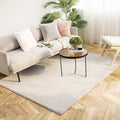 Ashler Faux Fur Rug, Ultra Soft Faux Rabbit Fur, Grey Area Rugs, 4 x 6 Feet Rectangle, Machine Washable Nursery Decor Throw Rugs for Bedroom, Kids Room, Living Room